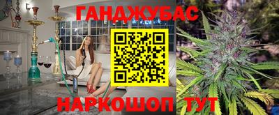 СК Волгодонск