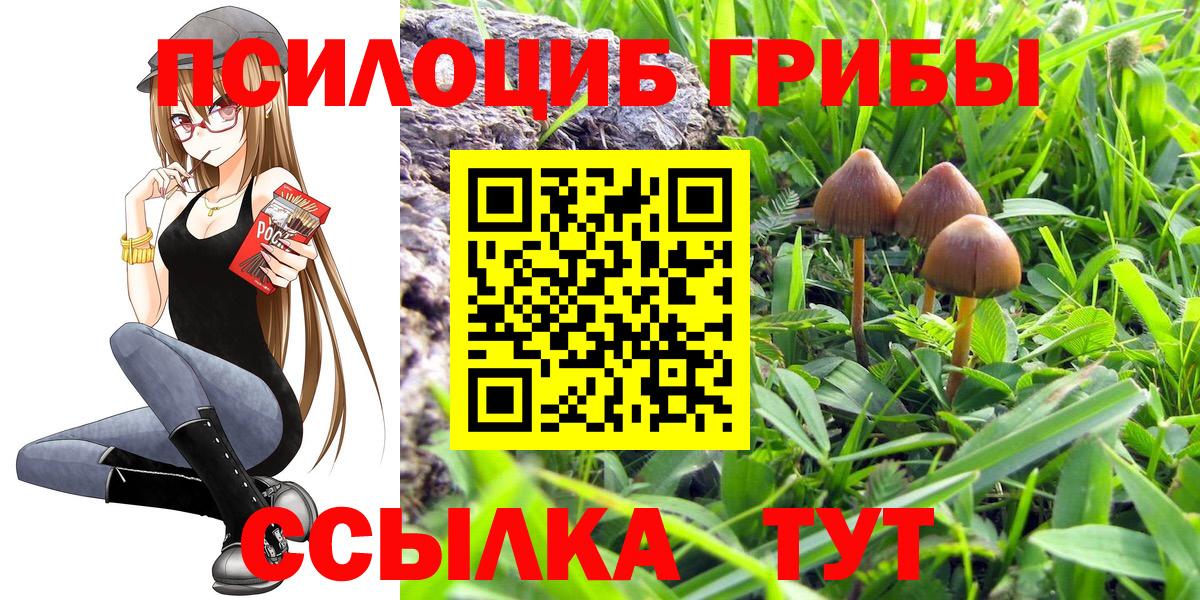 Галлюциногенные грибы Cubensis  Галлюциногенные грибы MAGIC MUSHROOMS  Нижнекамск  Вход с VPN 