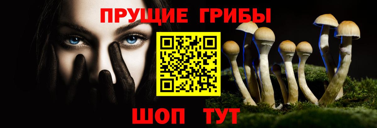 Галлюциногенные грибы прущие грибы Нижнекамск